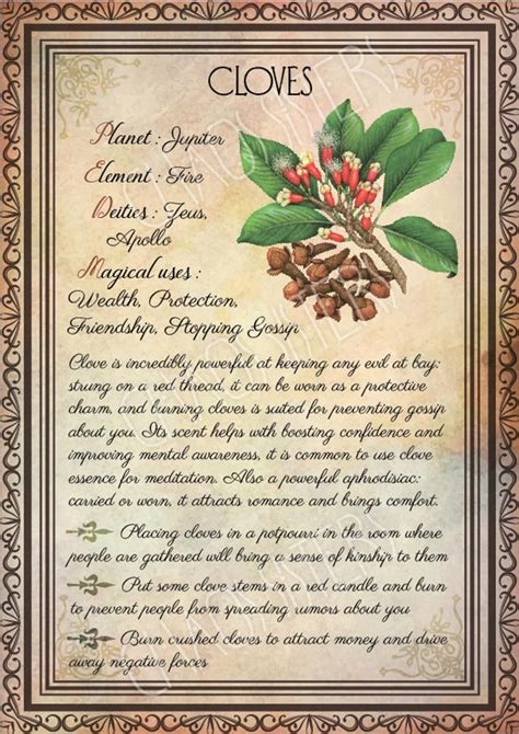 Wiccan herbs for warding